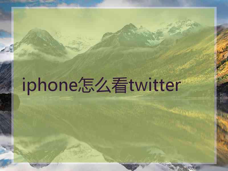 iphone怎么看twitter