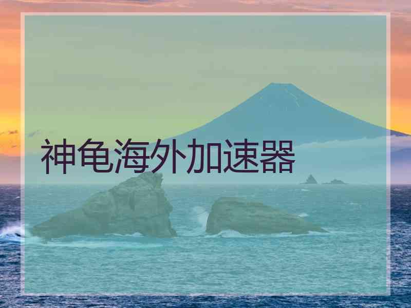 神龟海外加速器