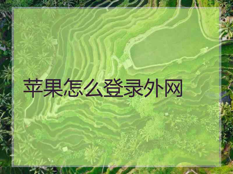 苹果怎么登录外网