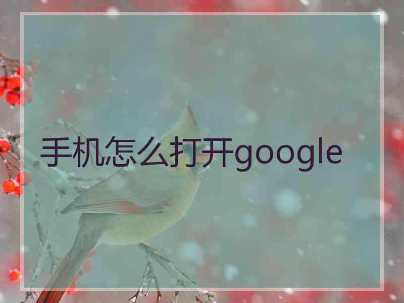 手机怎么打开google