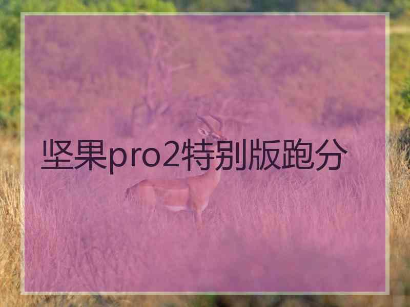 坚果pro2特别版跑分