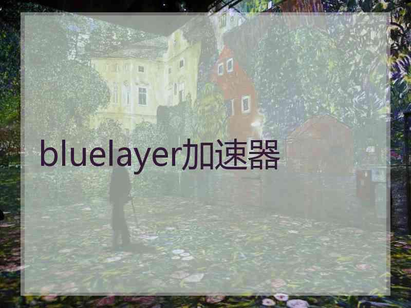 bluelayer加速器