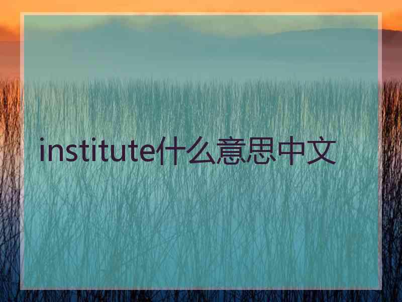 institute什么意思中文