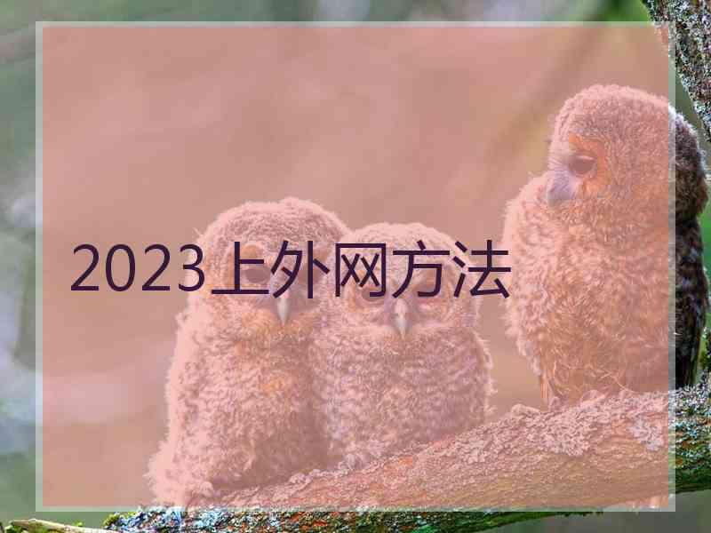 2023上外网方法