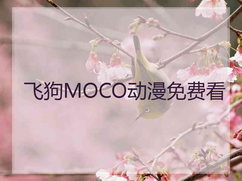 飞狗MOCO动漫免费看