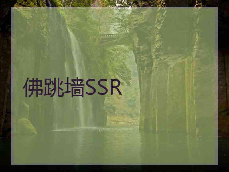 佛跳墙SSR