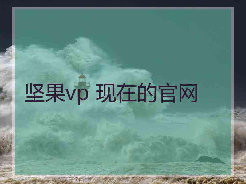 坚果vp 现在的官网