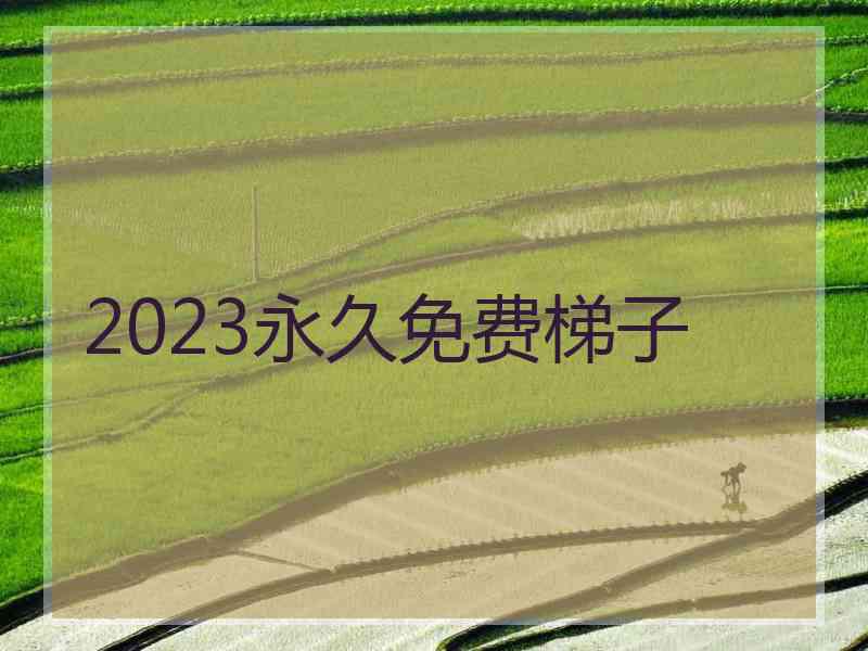 2023永久免费梯子