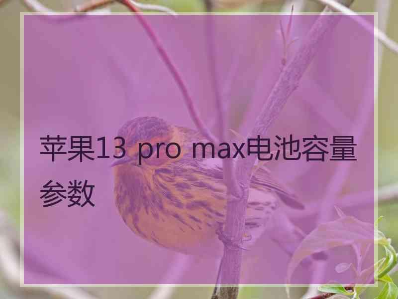 苹果13 pro max电池容量参数