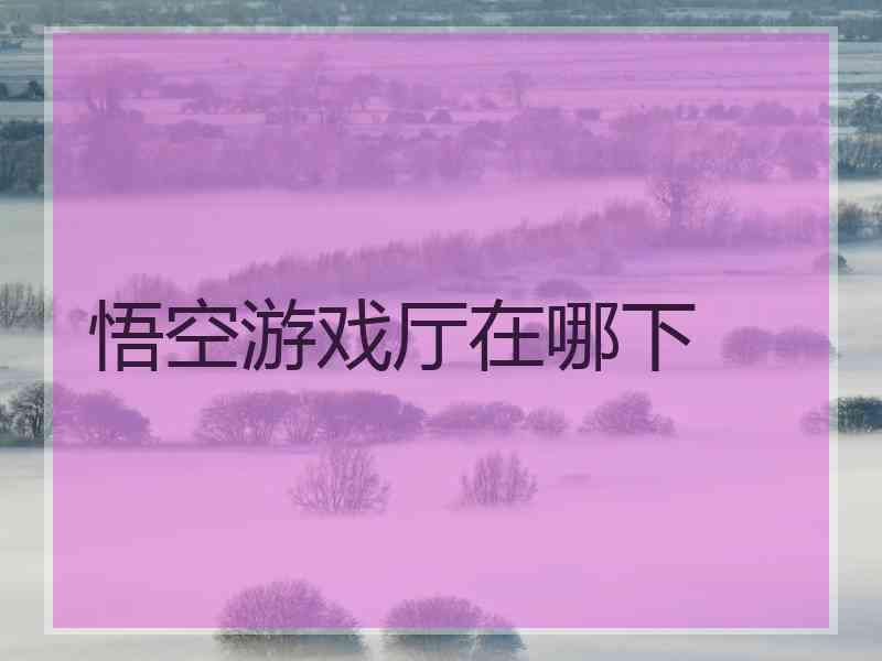 悟空游戏厅在哪下