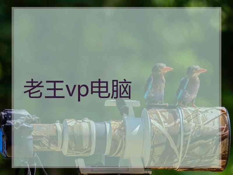 老王vp电脑