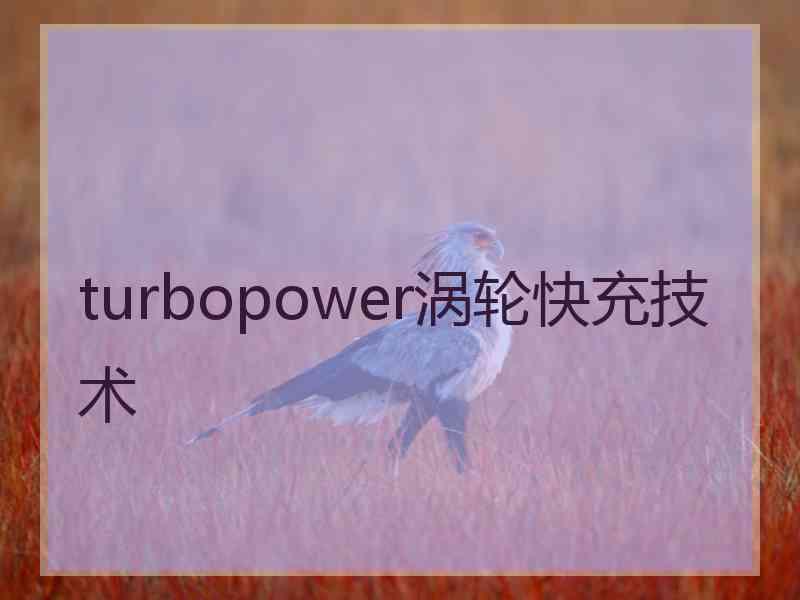 turbopower涡轮快充技术