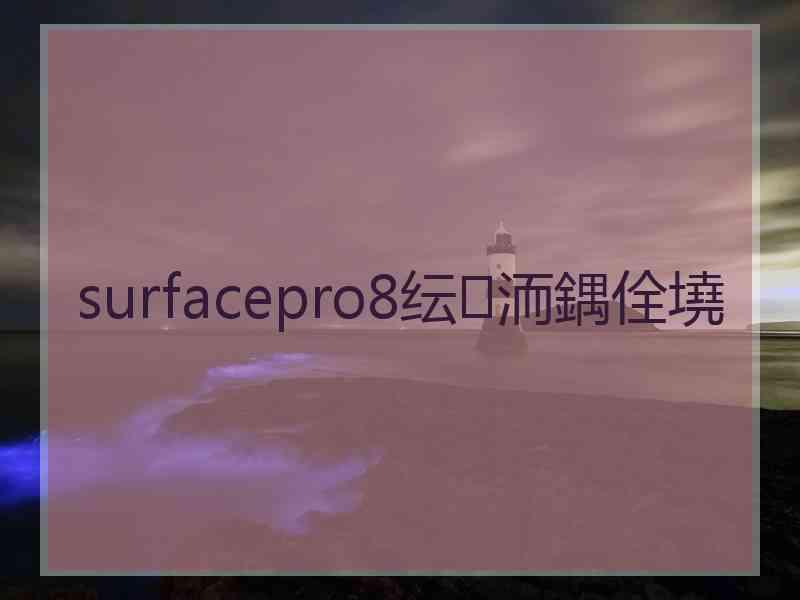 surfacepro8纭洏鍝佺墝