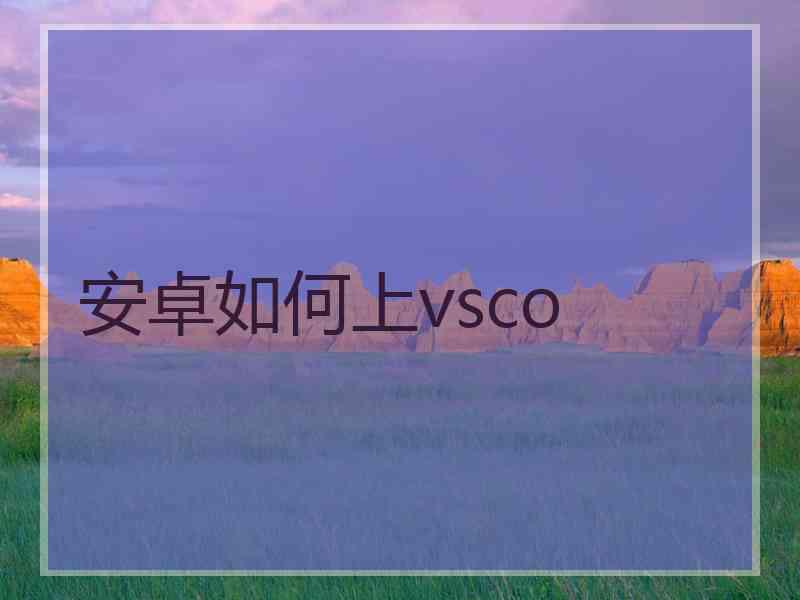 安卓如何上vsco