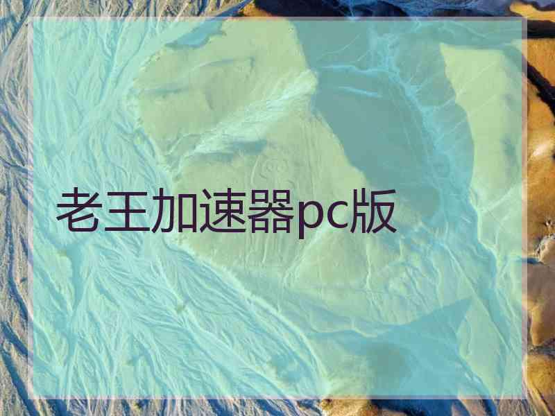 老王加速器pc版