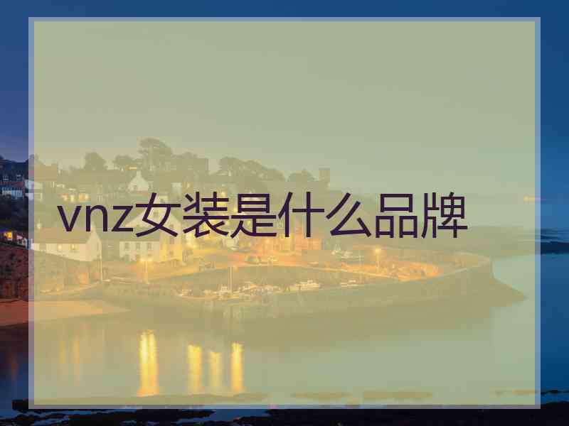 vnz女装是什么品牌