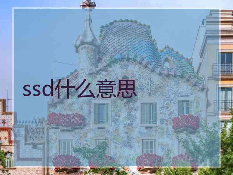 ssd什么意思