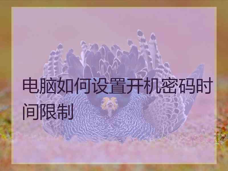 电脑如何设置开机密码时间限制