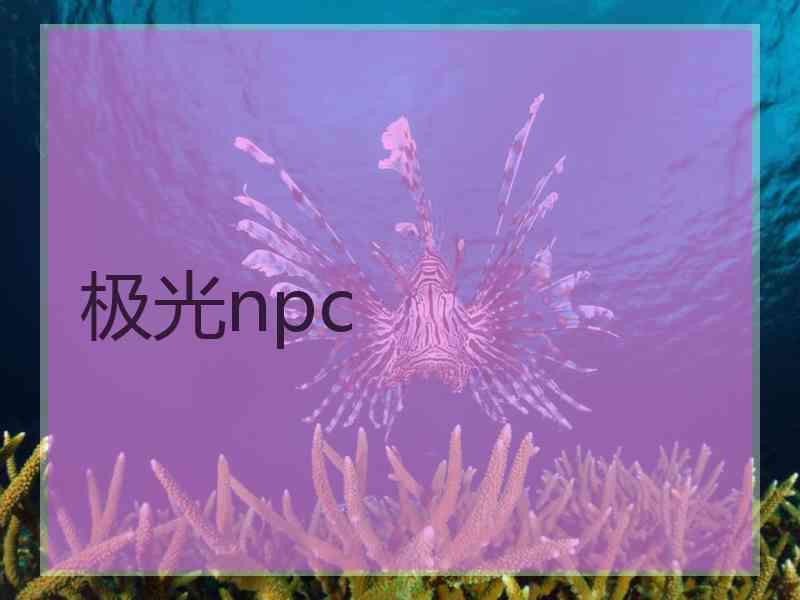 极光npc