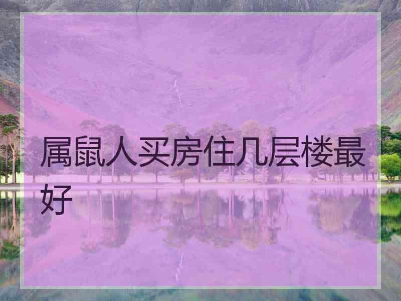 属鼠人买房住几层楼最好