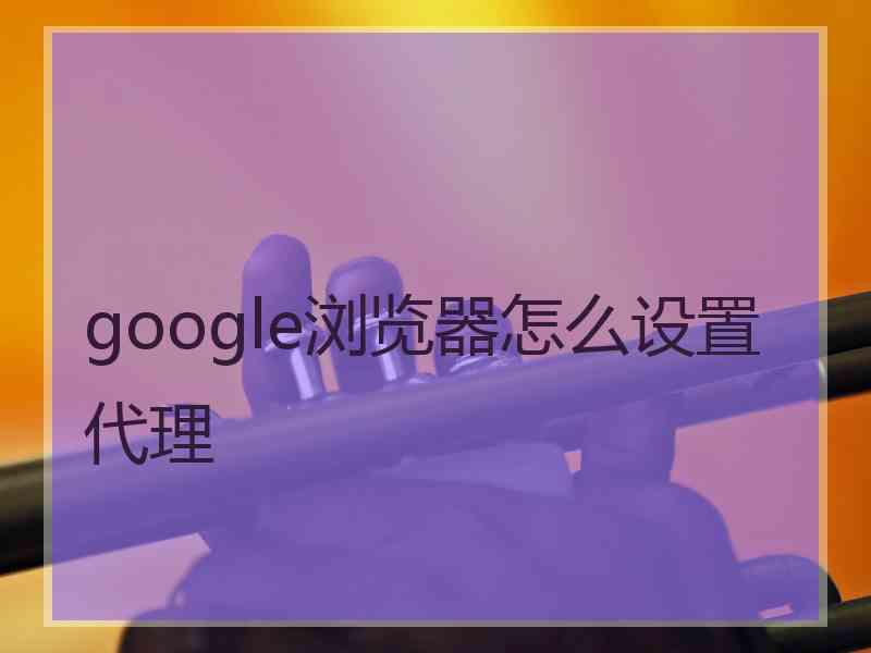 google浏览器怎么设置代理