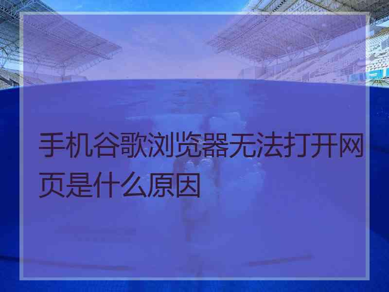 手机谷歌浏览器无法打开网页是什么原因