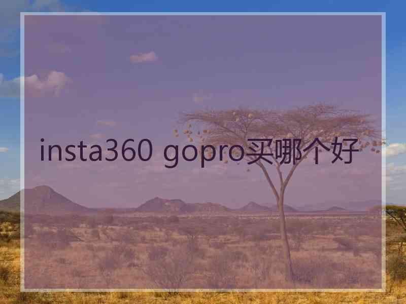 insta360 gopro买哪个好