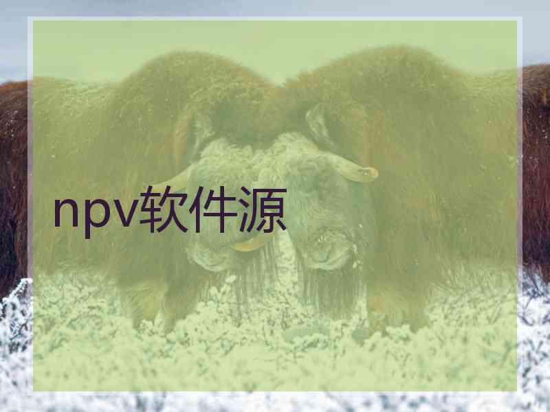 npv软件源