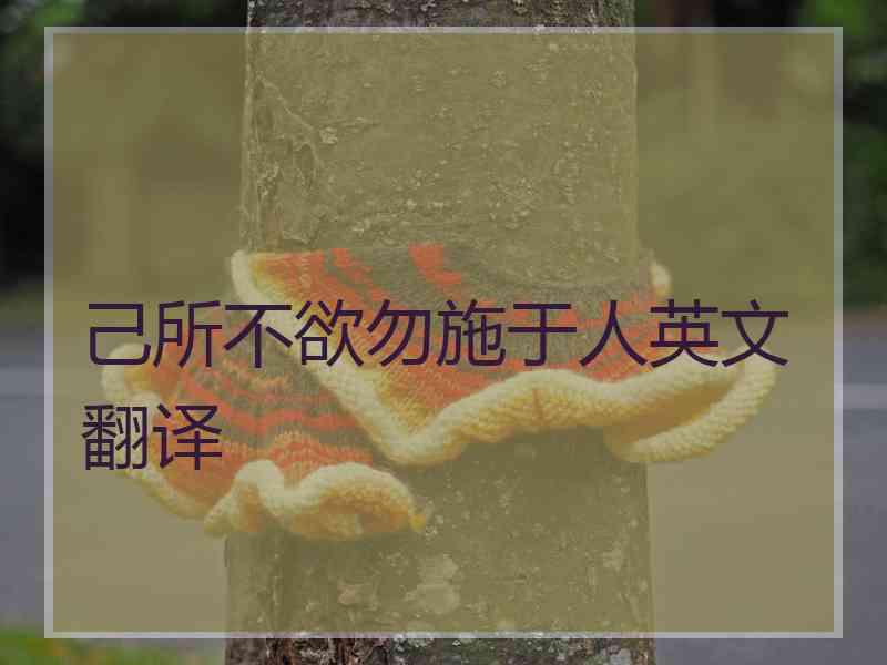 己所不欲勿施于人英文翻译