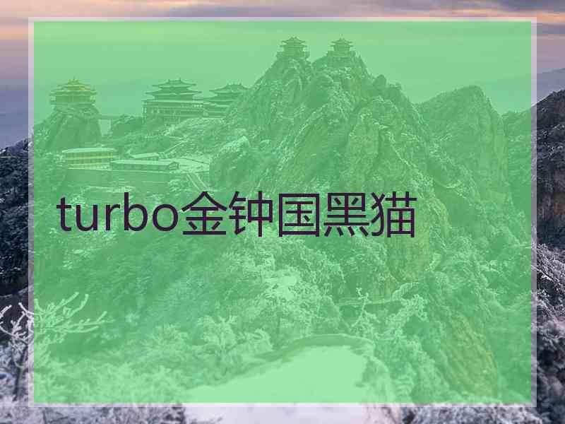 turbo金钟国黑猫