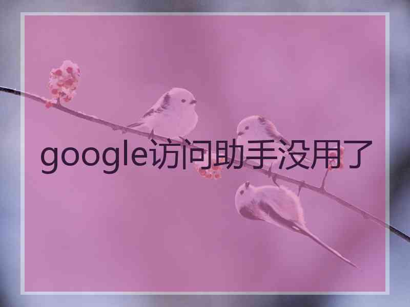 google访问助手没用了