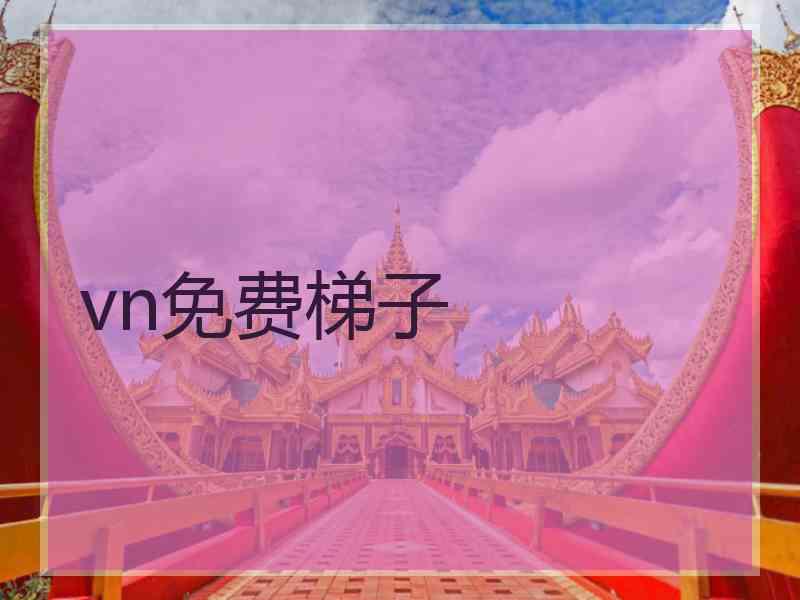 vn免费梯子