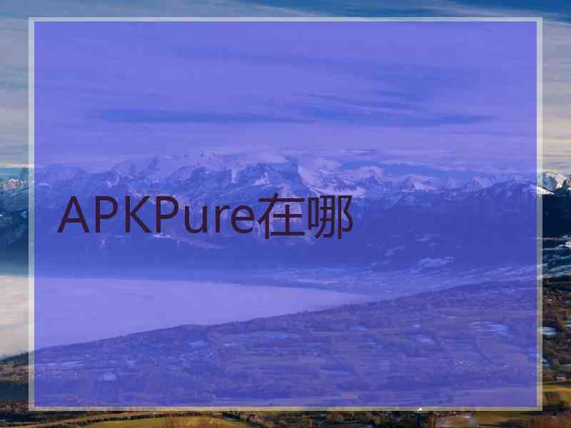 APKPure在哪