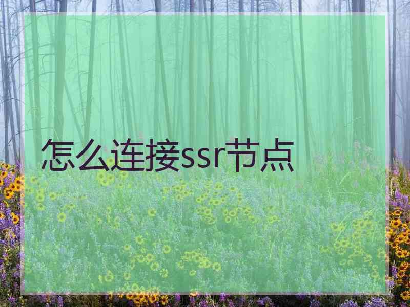 怎么连接ssr节点