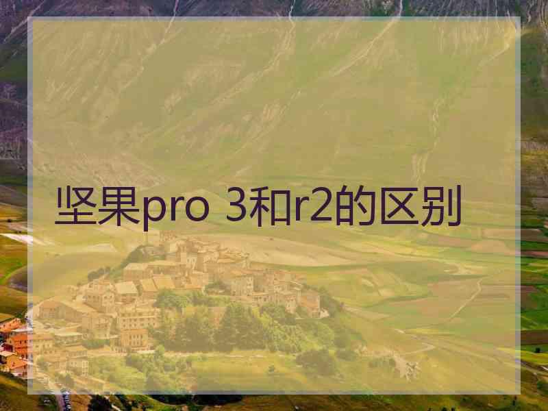 坚果pro 3和r2的区别