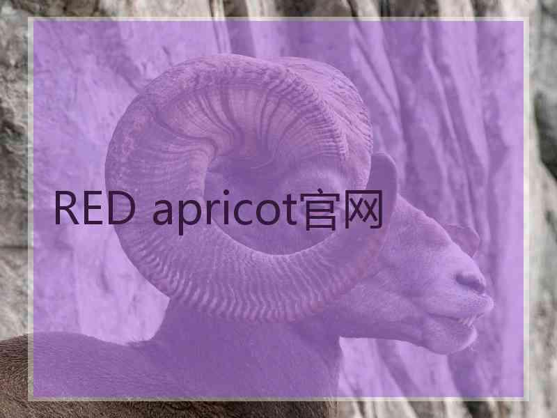 RED apricot官网