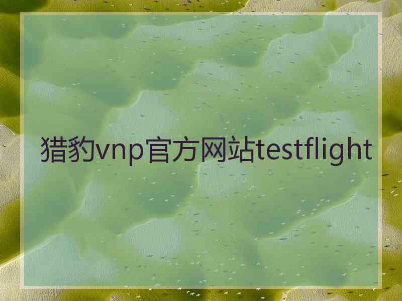 猎豹vnp官方网站testflight