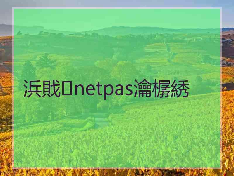 浜戝netpas瀹樼綉