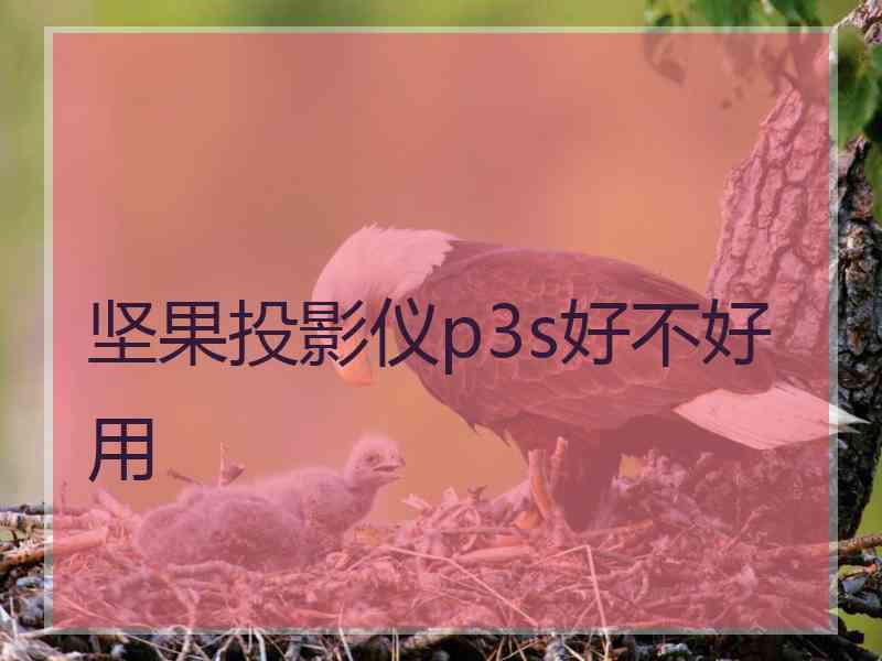 坚果投影仪p3s好不好用