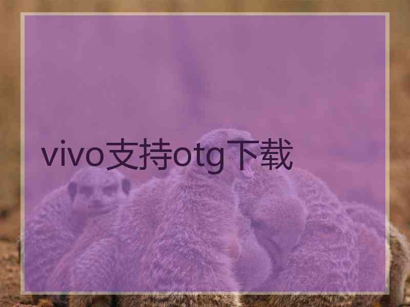 vivo支持otg下载