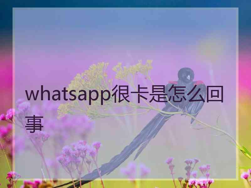 whatsapp很卡是怎么回事