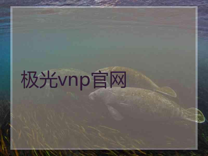 极光vnp官网