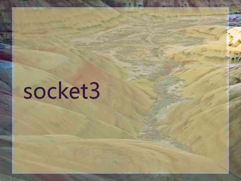 socket3