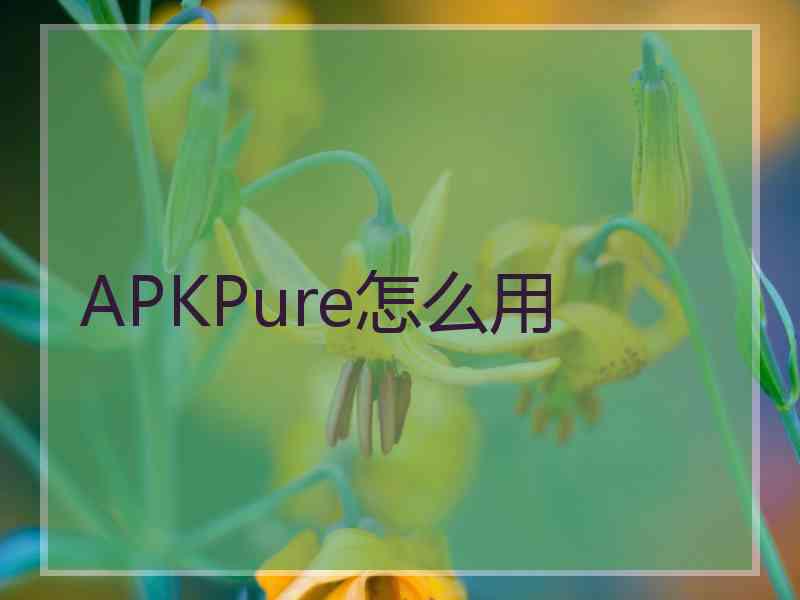 APKPure怎么用