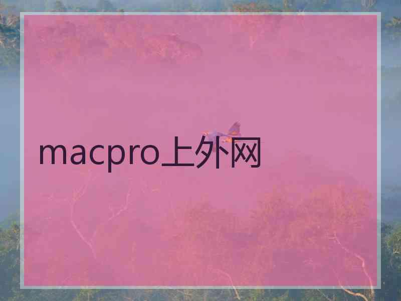 macpro上外网