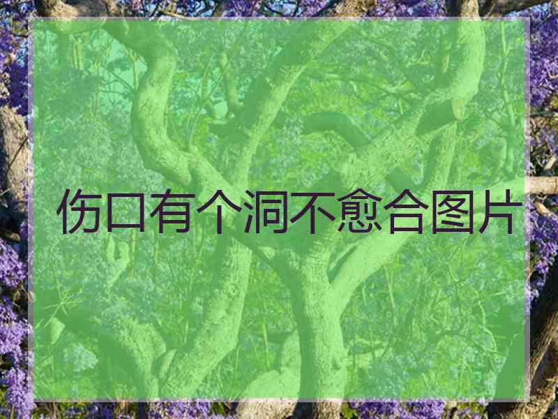 伤口有个洞不愈合图片