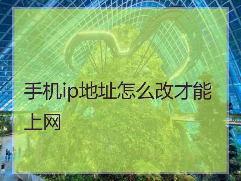 手机ip地址怎么改才能上网