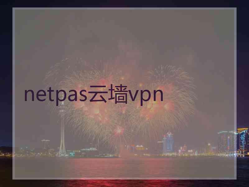 netpas云墙vpn