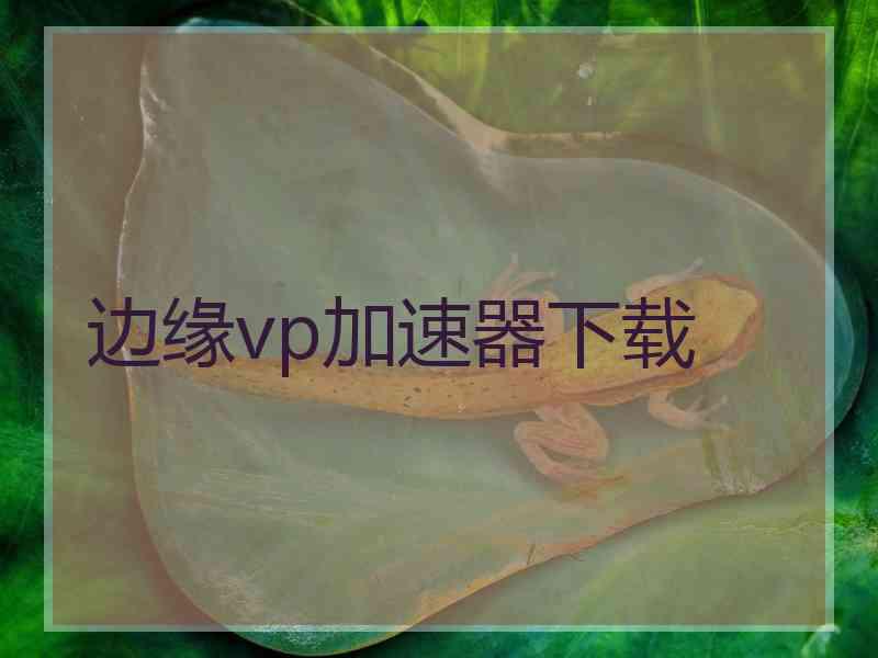 边缘vp加速器下载