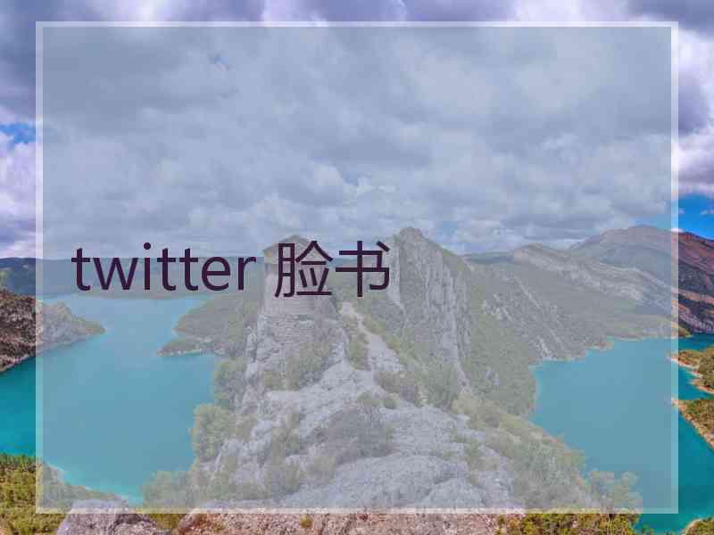 twitter 脸书